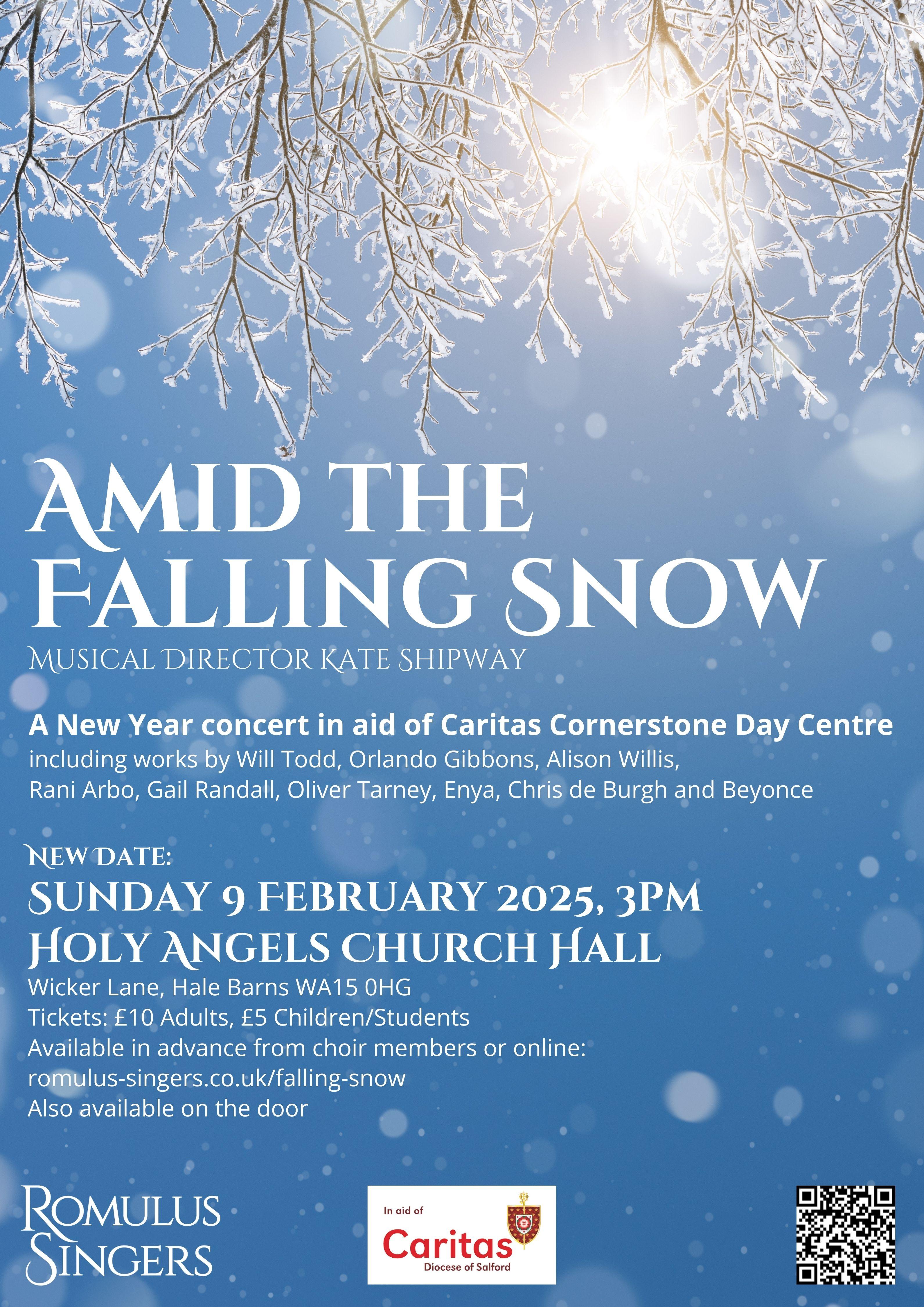 Amid the Falling Snow: Afternoon Concert - NEW DATE